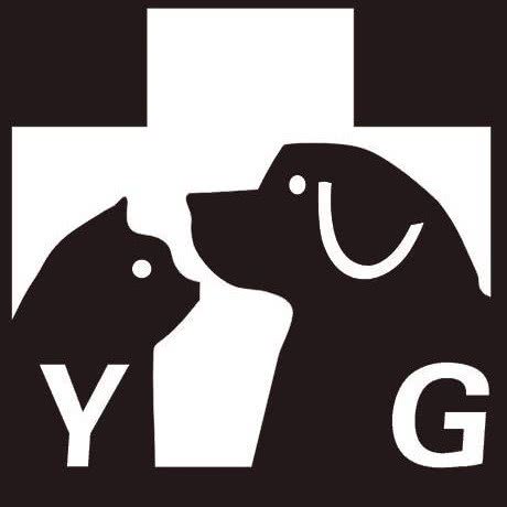 又高宠物医院:邵阳市大祥区