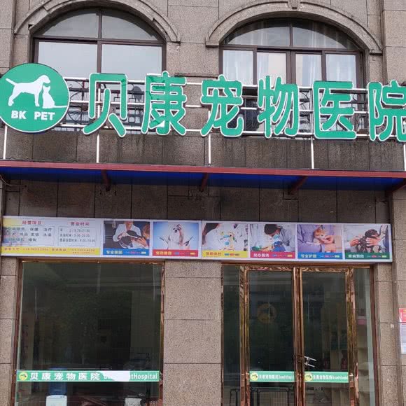 贝康宠物医院:邵阳市新邵县