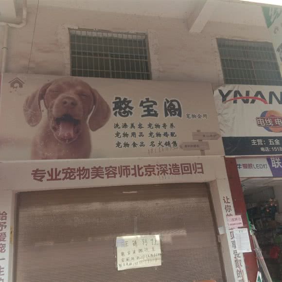 憨宝阁宠物会所:邵阳市新宁县