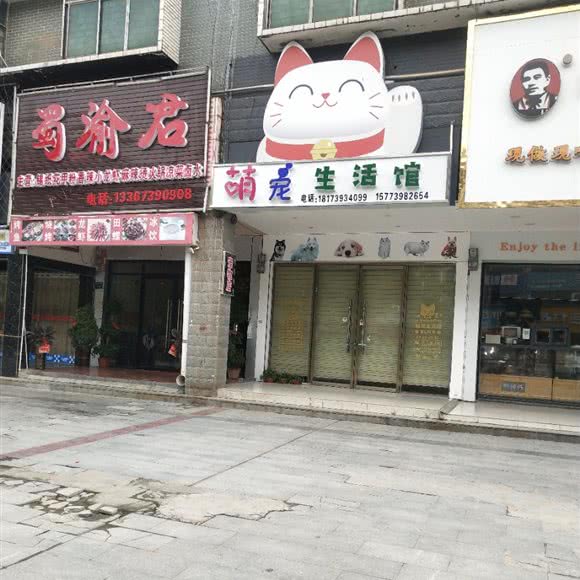 萌宠生活馆:邵阳市武冈市