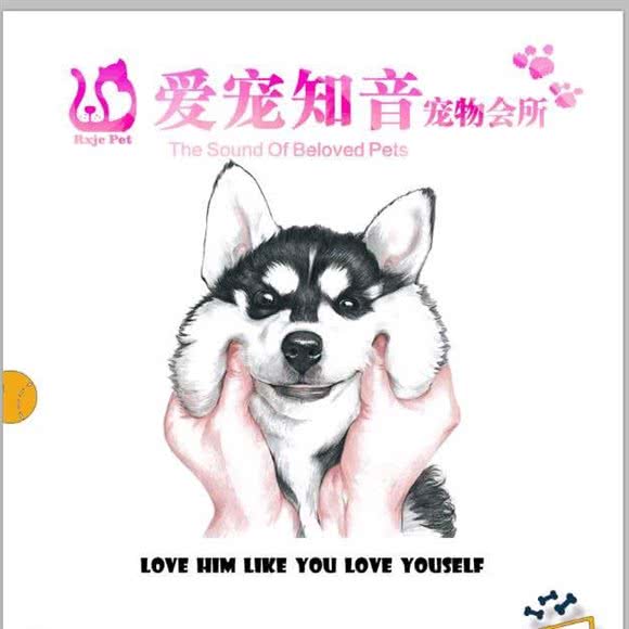 爱宠知音宠物会所:岳阳市岳阳楼区