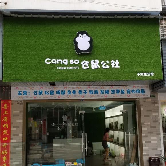 仓鼠人民公社小宠生活馆:岳阳市岳阳县