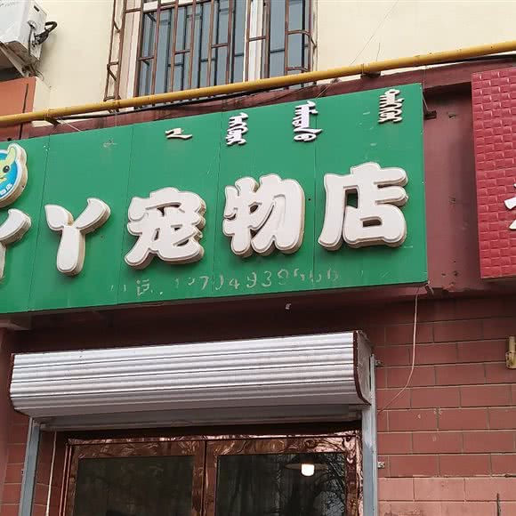 丫丫宠物店:巴彦淖尔市临河区太阳城附近