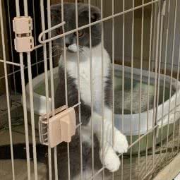 瑞奇宠物互动乐园:沈阳市和平区太原街附近