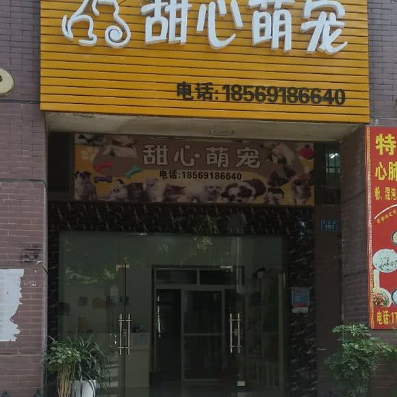 甜心萌宠:常德市武陵区