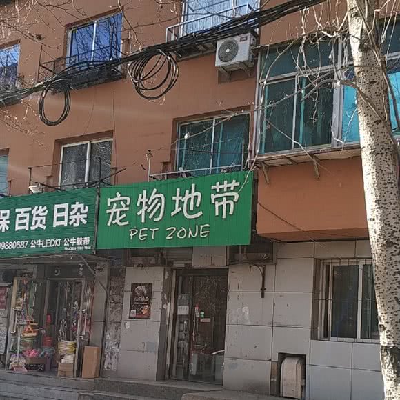 宠物地带:沈阳市和平区太原街附近