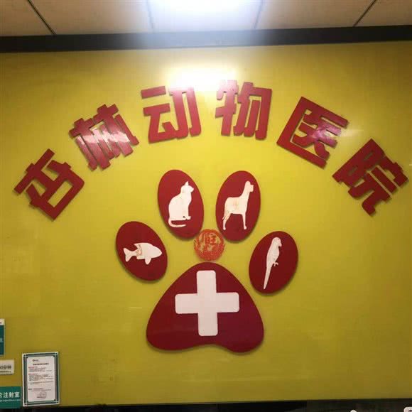 杏林动物医院:常德市武陵区