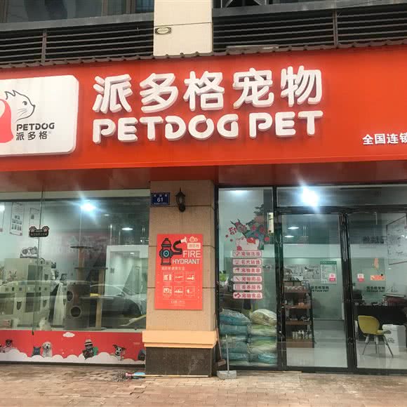 派多格宠物:常德市汉寿县