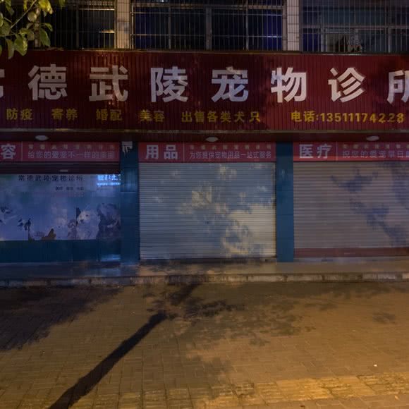 常德武陵宠物诊所(澧县分院):常德市澧县