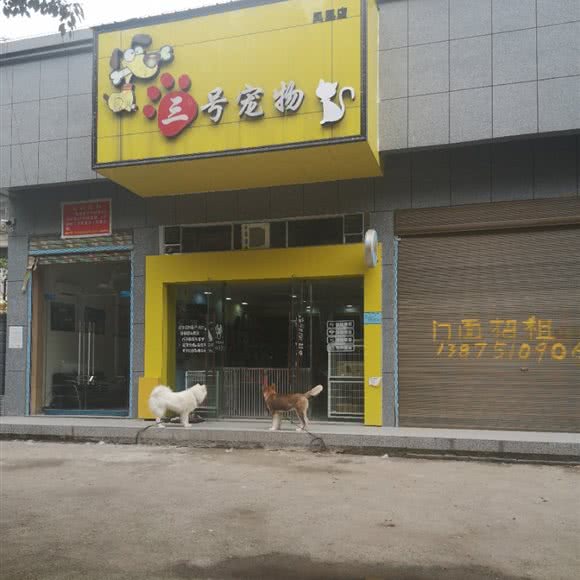 三号宠物(凤凰店):常德市桃源县