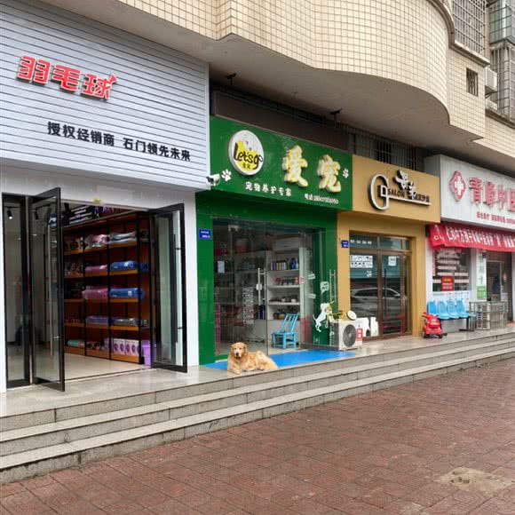 爱宠宠物养护研究者:常德市石门县