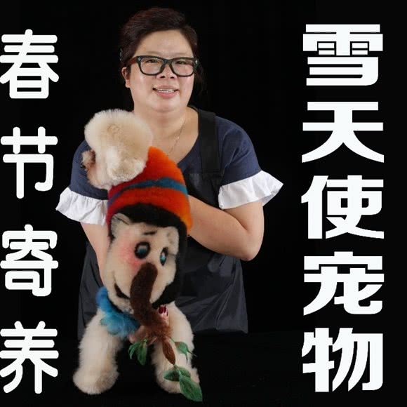 雪天使宠物美容中心:沈阳市和平区太原街附近