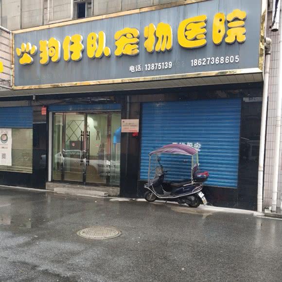 狗仔队宠物医院(津市店):常德市津市市
