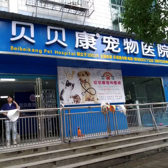 贝贝康宠物医院(环保路分院):益阳市赫山区