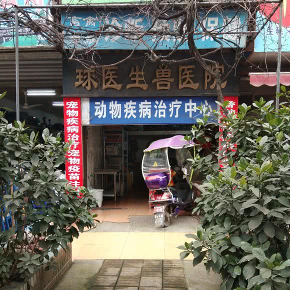 球护士兽医院:益阳市赫山区