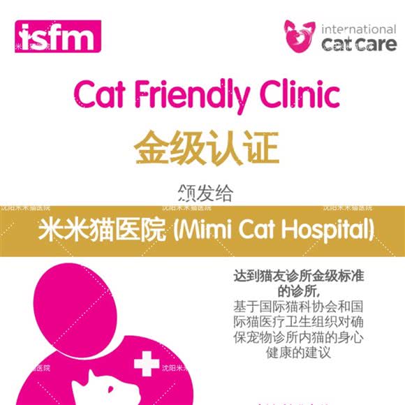 米米猫医院(南五马路店):沈阳市和平区太原街附近