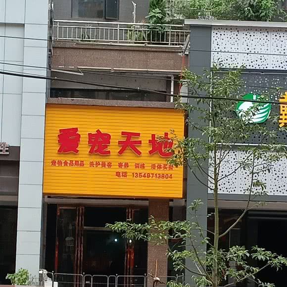 爱宠天地:益阳市沅江市