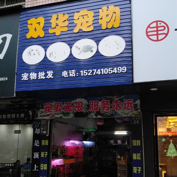 双华宠物:郴州市桂阳县
