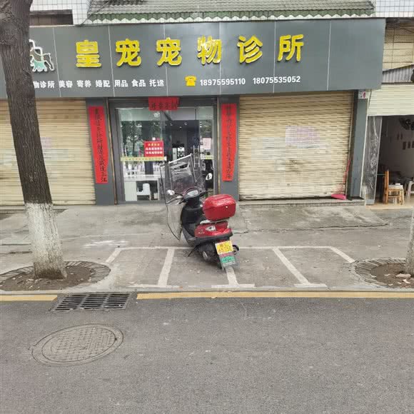 皇宠物诊所:郴州市桂阳县