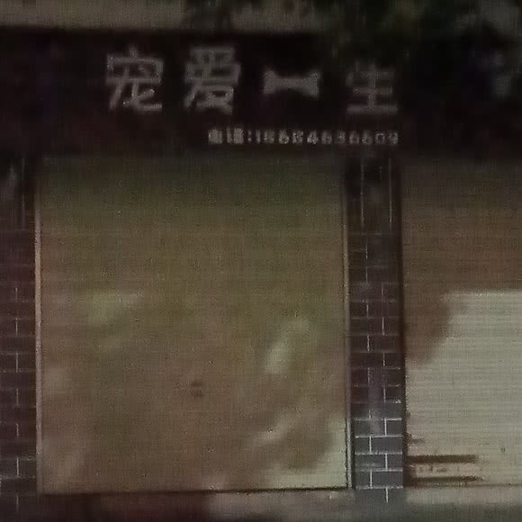 宠爱一生:郴州市永兴县