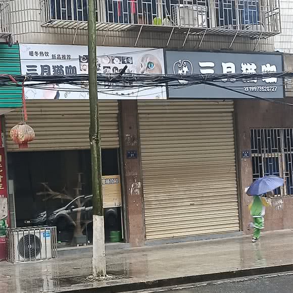 三月猫咖:郴州市永兴县