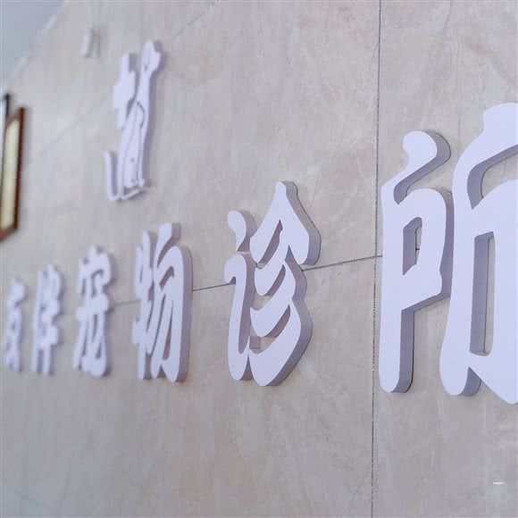 友伴宠物医院:郴州市资兴市