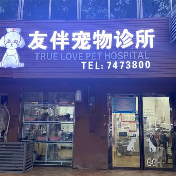 友伴宠物诊所(新区店):郴州市资兴市
