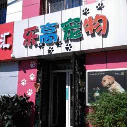 乐高宠物:沈阳市和平区西塔/北市场附近