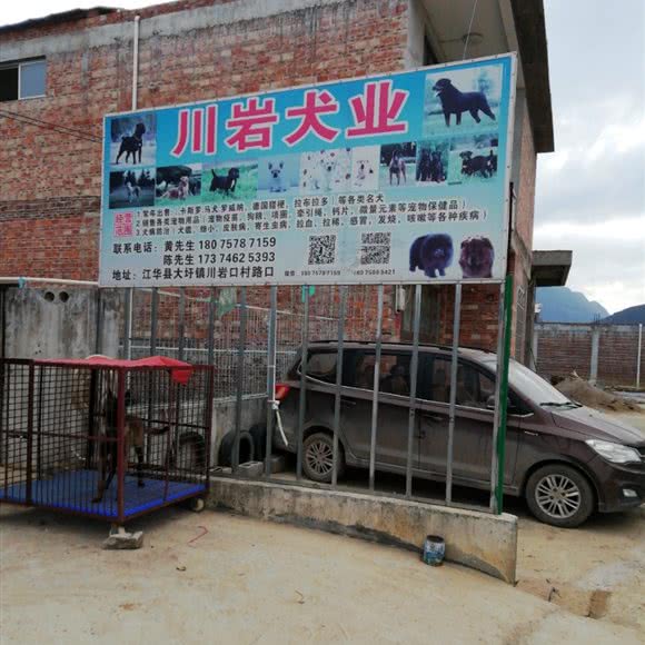 川岩犬业:永州市江华瑶族自治县