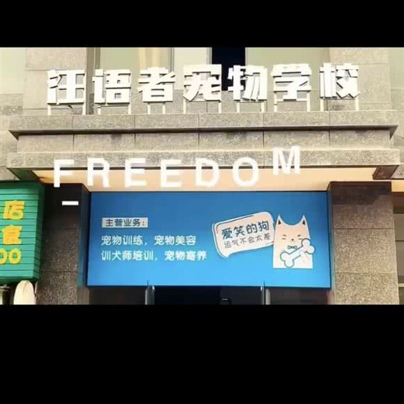 汪语者宠物培训学校:怀化市鹤城区