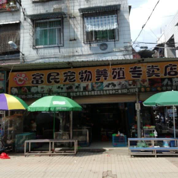 富民宠物养殖专卖店:怀化市鹤城区