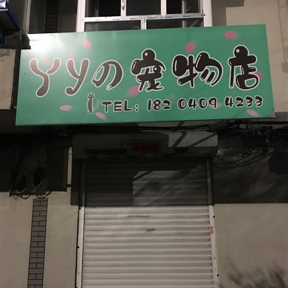Yy面包店:沈阳市和平区西塔/北市场附近
