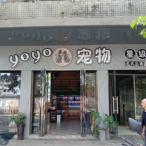 YOYO宠物:怀化市洪江市