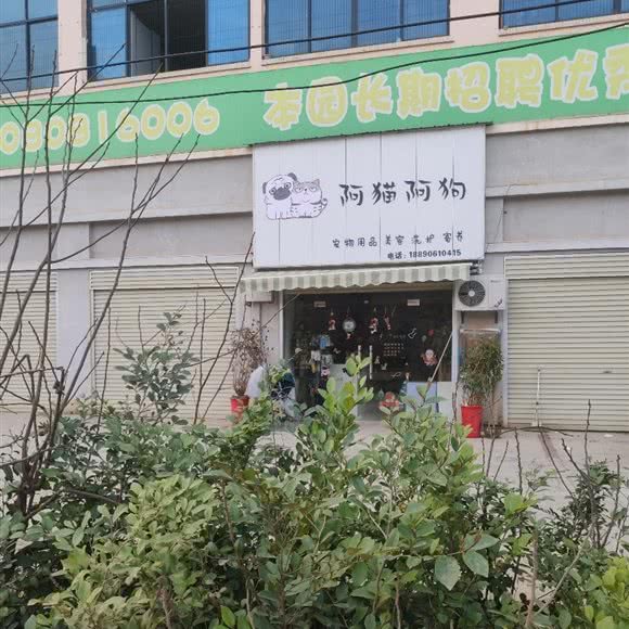 阿猫阿狗美容护肤:娄底市双峰县