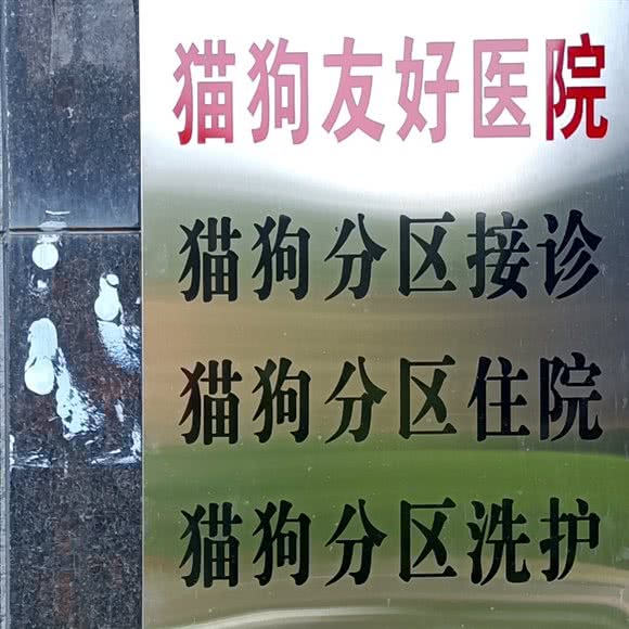 民星动物医院·犬猫专科·猫咖:娄底市双峰县