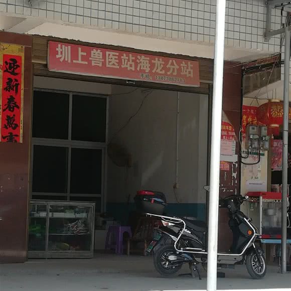 圳上兽医站(海龙分站):娄底市新化县