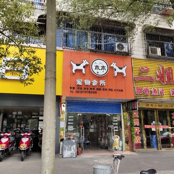 木木宠物会所:娄底市冷水江市