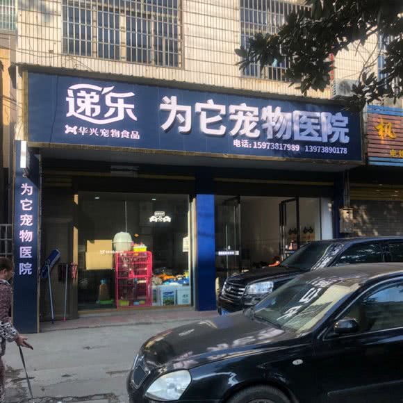 为它宠物医院:娄底市涟源市