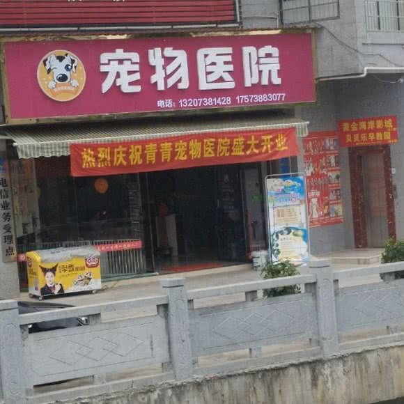宠物医院:娄底市涟源市