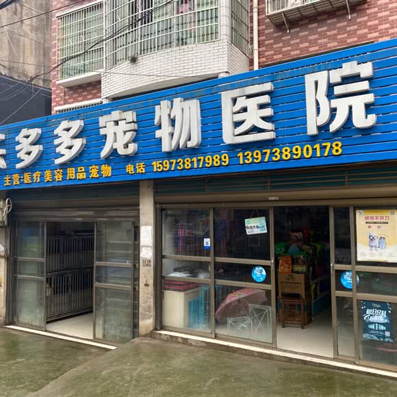 乐多多宠物医院:娄底市涟源市