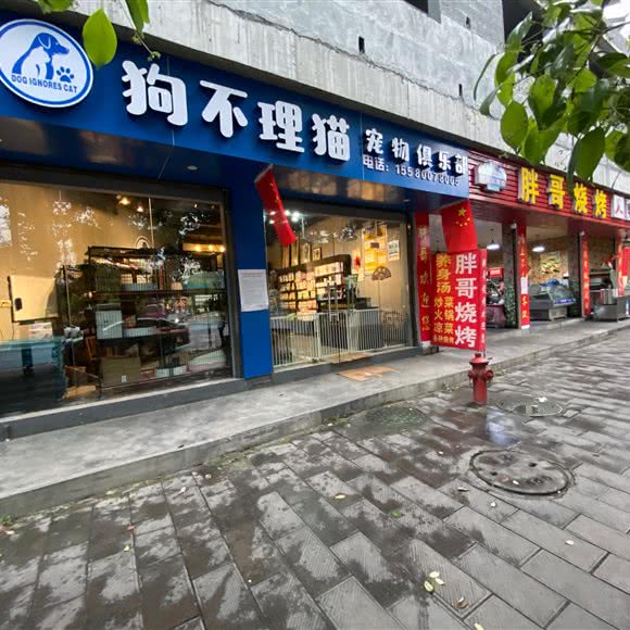 狗不理猫宠物俱乐部:湘西土家族苗族自治州吉首市