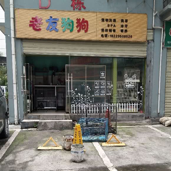 老友狗狗:湘西土家族苗族自治州吉首市