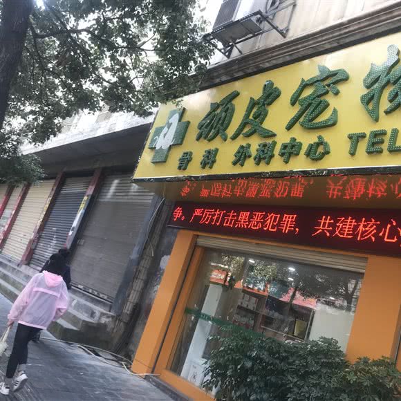 顽皮宠物医院:湘西土家族苗族自治州吉首市