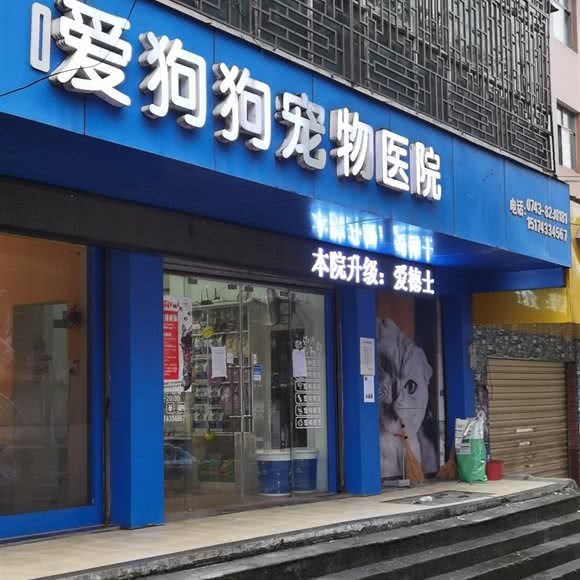 嗳狗狗宠物医院:湘西土家族苗族自治州吉首市