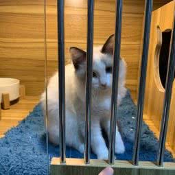 MT宠物:广州市荔湾区