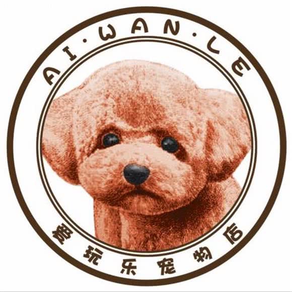 爱玩乐宠物店:沈阳市和平区南市/马路湾附近