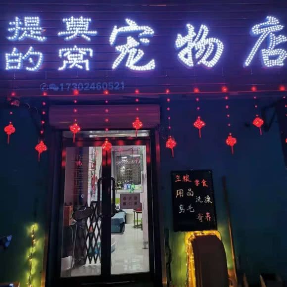 提莫的窝宠物美容店:沈阳市和平区南市/马路湾附近