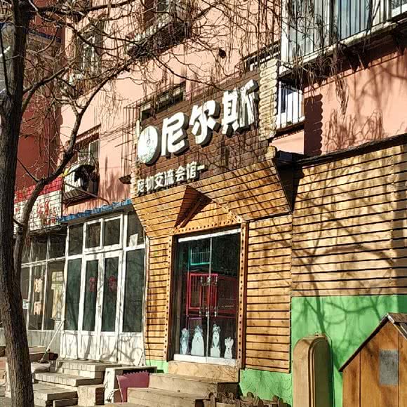 尼尔斯宠物:沈阳市和平区南市/马路湾附近