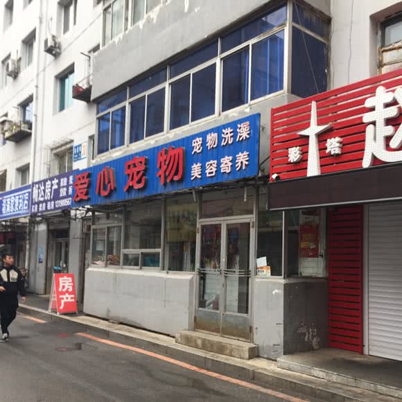 爱心宠物(会武街店):沈阳市和平区南市/马路湾附近