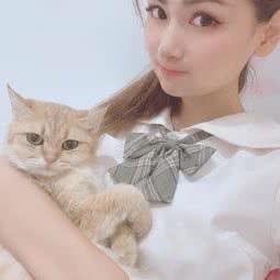 樱花猫馆:广州市荔湾区